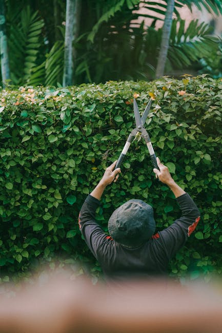 A man with short hair, wearing glasses, a dark hoodie, and blue jeans, is operating a grass trimmer in a well-maintained garden. The garden features a lush green lawn, bordered by flower beds filled with blooming white and purple flowers, and edged with small brick walls. Behind him, there is a wooden fence painted in light blue, with some garden tools and a trellis visible. To the right, a garden rake leans against the fence, and a potted plant rests on the ground. The garden also includes a small dense shrub with reddish-brown leaves, a taller leafy bush, and a large tree with orange foliage in the background, indicating an autumn setting. The scene is lit by soft natural daylight, highlighting the textures of the grass, soil, and plants as part of routine garden maintenance by Gardeners Tooting.