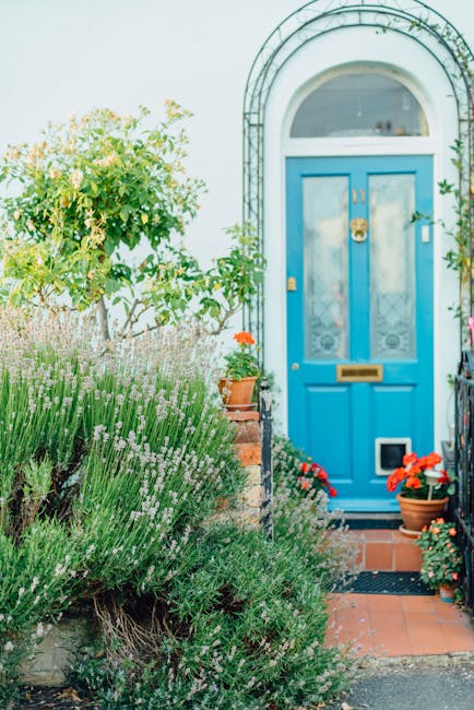 A vibrant front garden featuring a bright blue front door with a brass letterbox and handle, set within a white arched doorway. To the left of the path, there is lush greenery including a large, leafy shrub with light yellow-green foliage, and a bed of purple-flowered lavender with dense, fragrant foliage. Potted plants with red and orange flowers are positioned near the door, adding splashes of color. The garden area comprises a small brick-paved entrance with a black doormat, bordered by a neatly maintained lawn and a variety of garden plants. The scene is illuminated by natural daylight, highlighting the textures of the wet soil, trimmed plant foliage, and the garden's structured layout. The overall impression is of a well-maintained, inviting outdoor space, showcasing typical garden maintenance and landscaping work, as promoted by Gardeners Tooting.